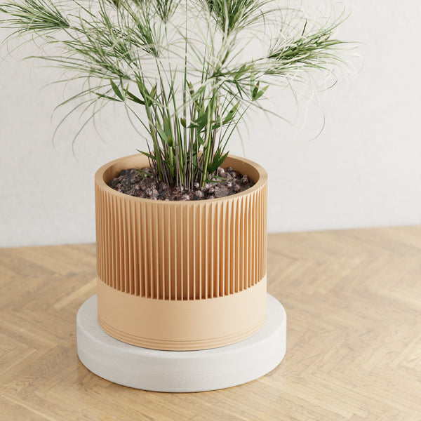Sakura Planter