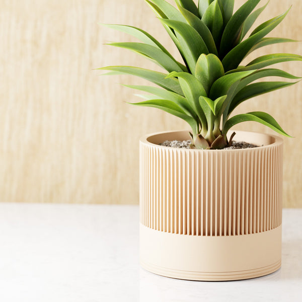 Sakura Planter