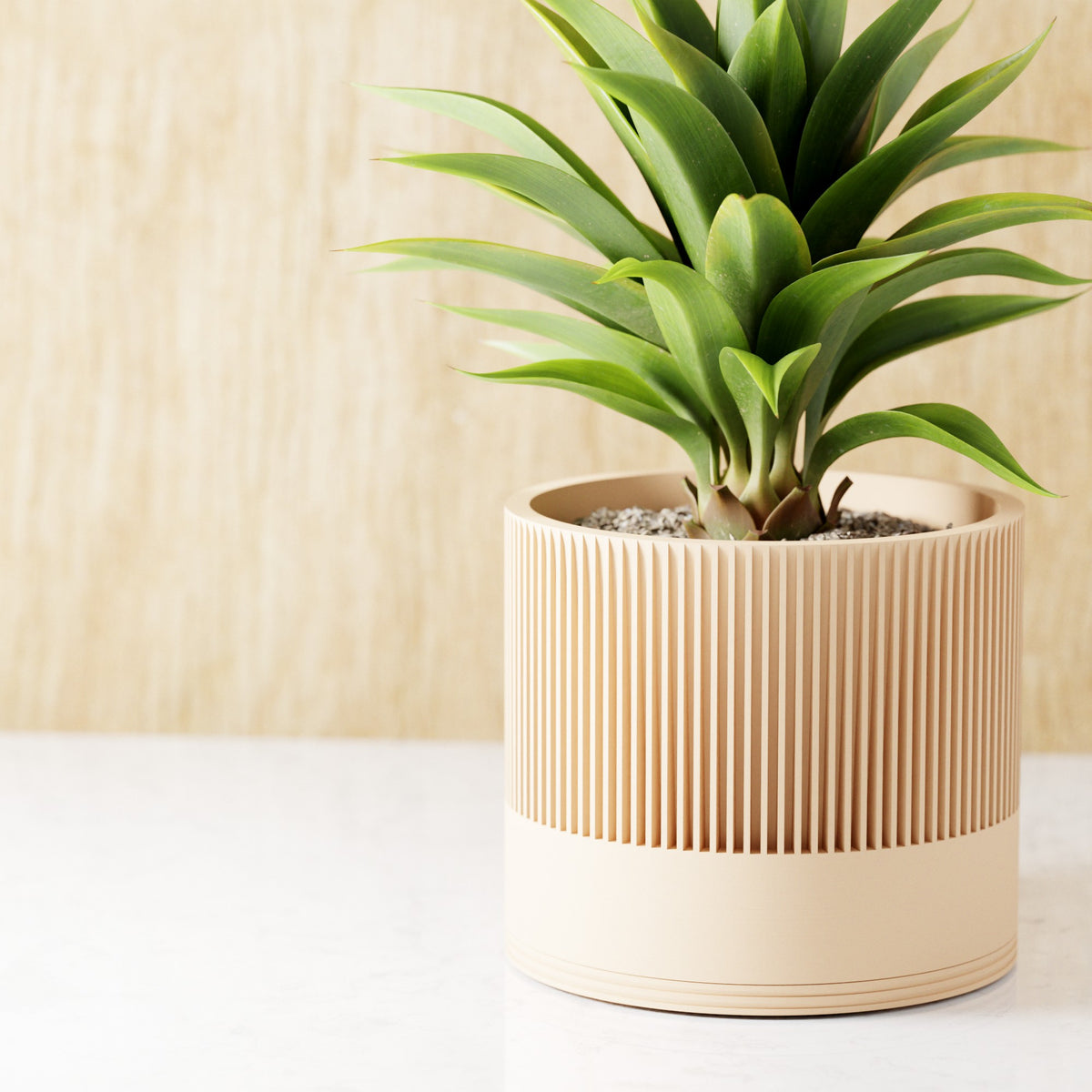 Sakura Planter