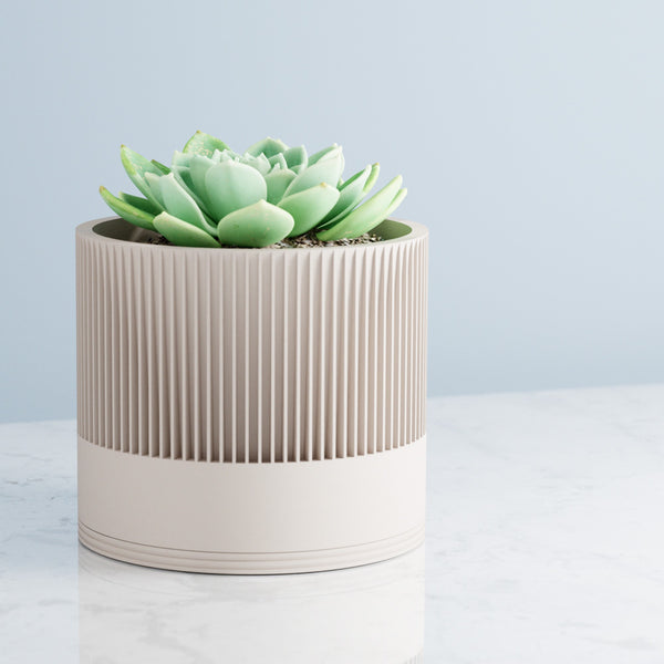 Sakura Planter