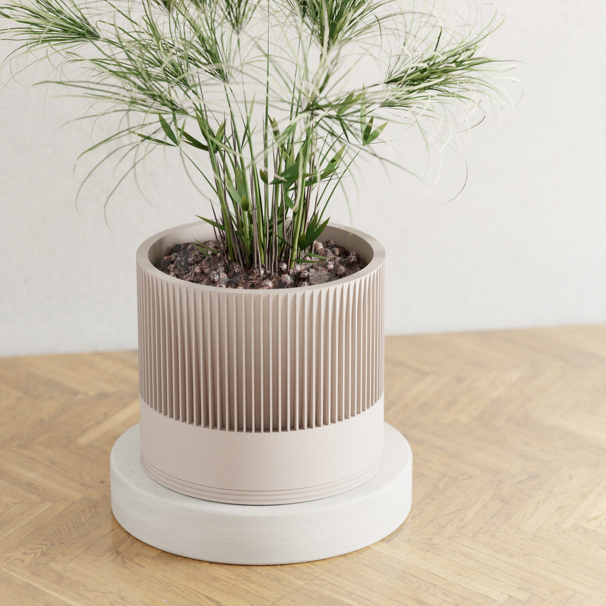 Sakura Planter