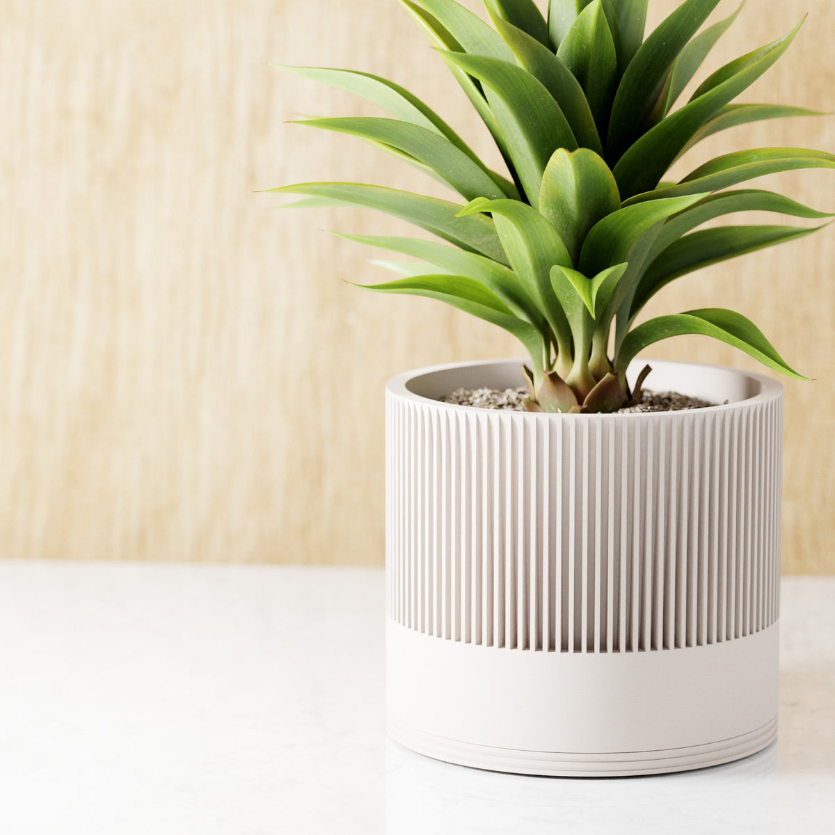 Sakura Planter