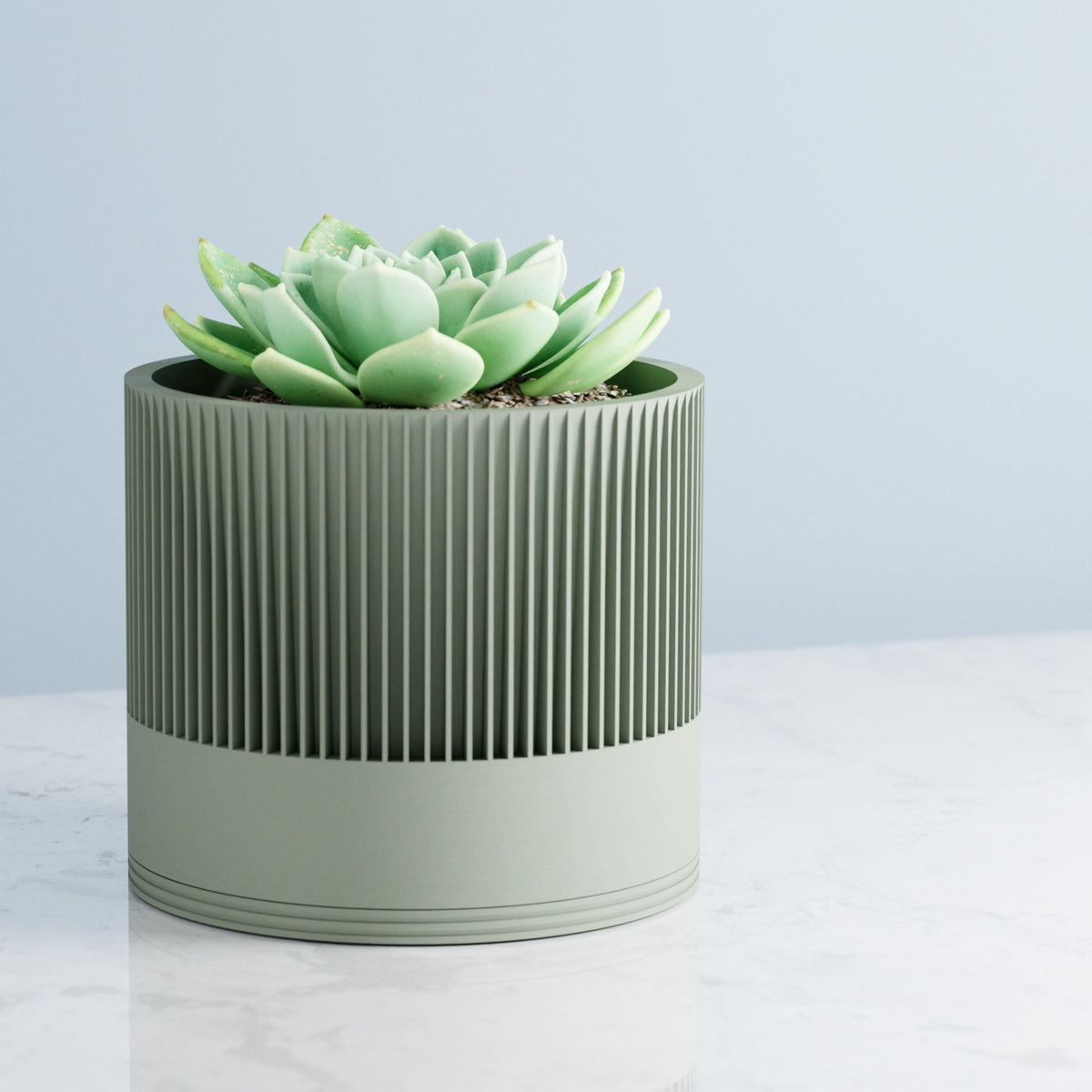 Sakura Planter