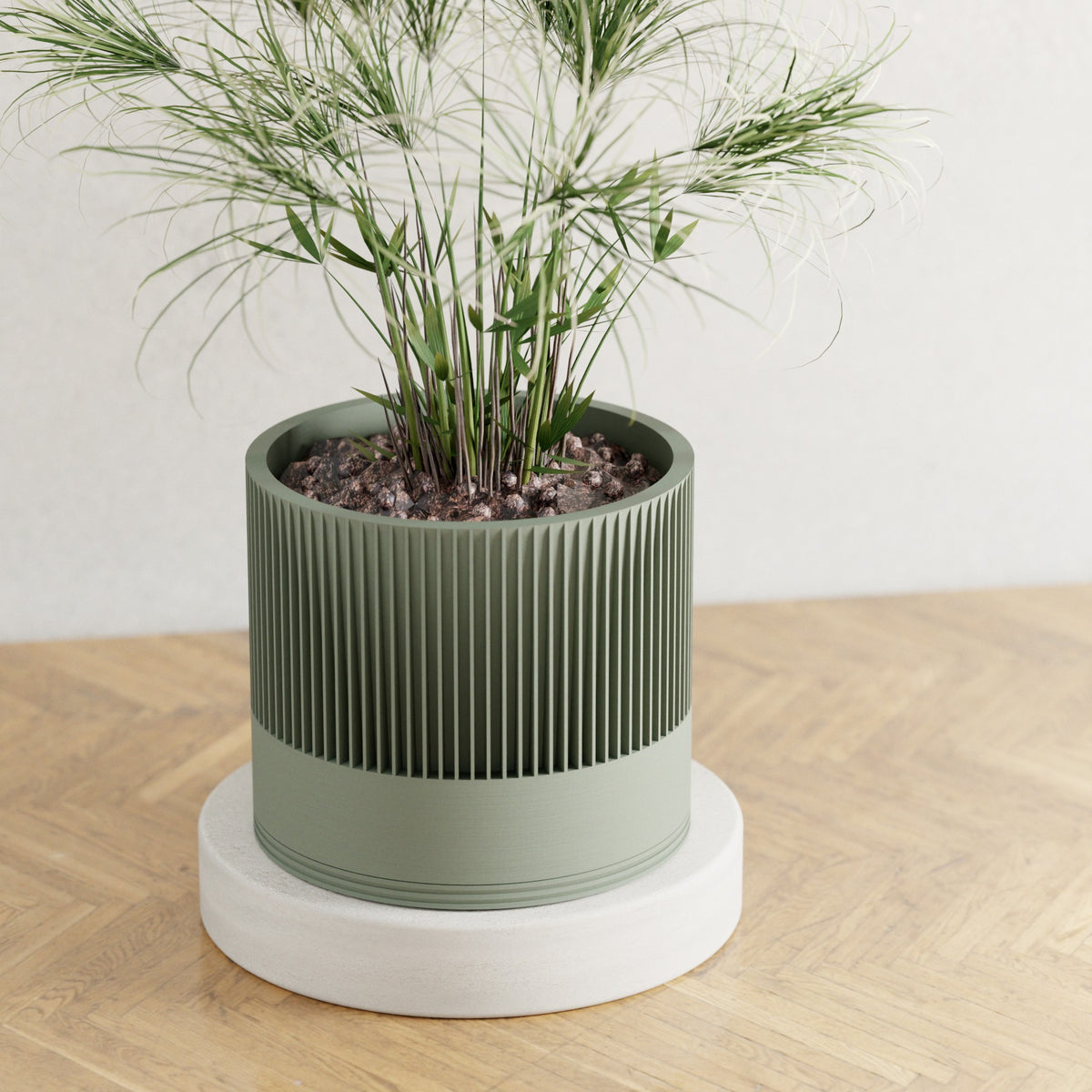 Sakura Planter