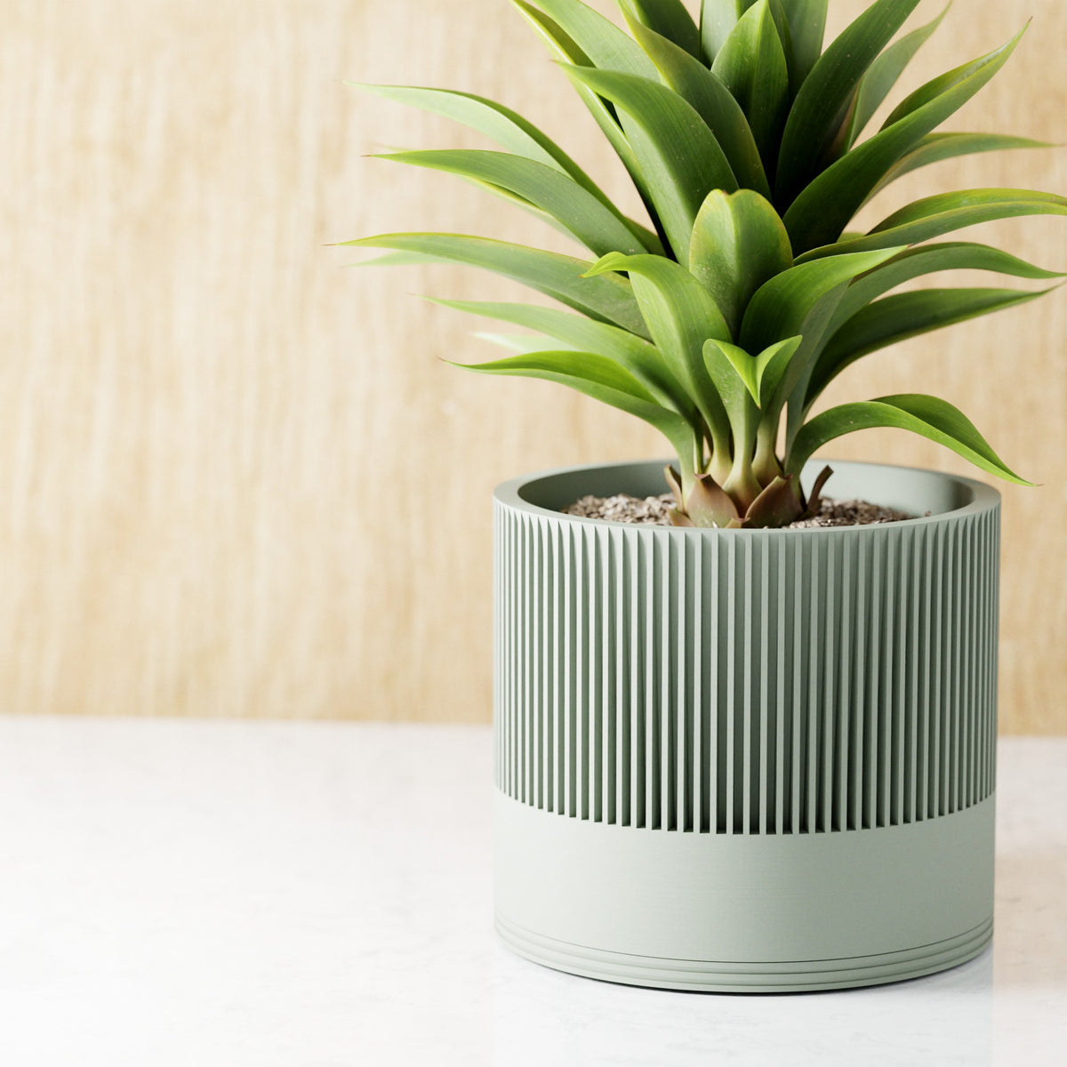 Sakura Planter