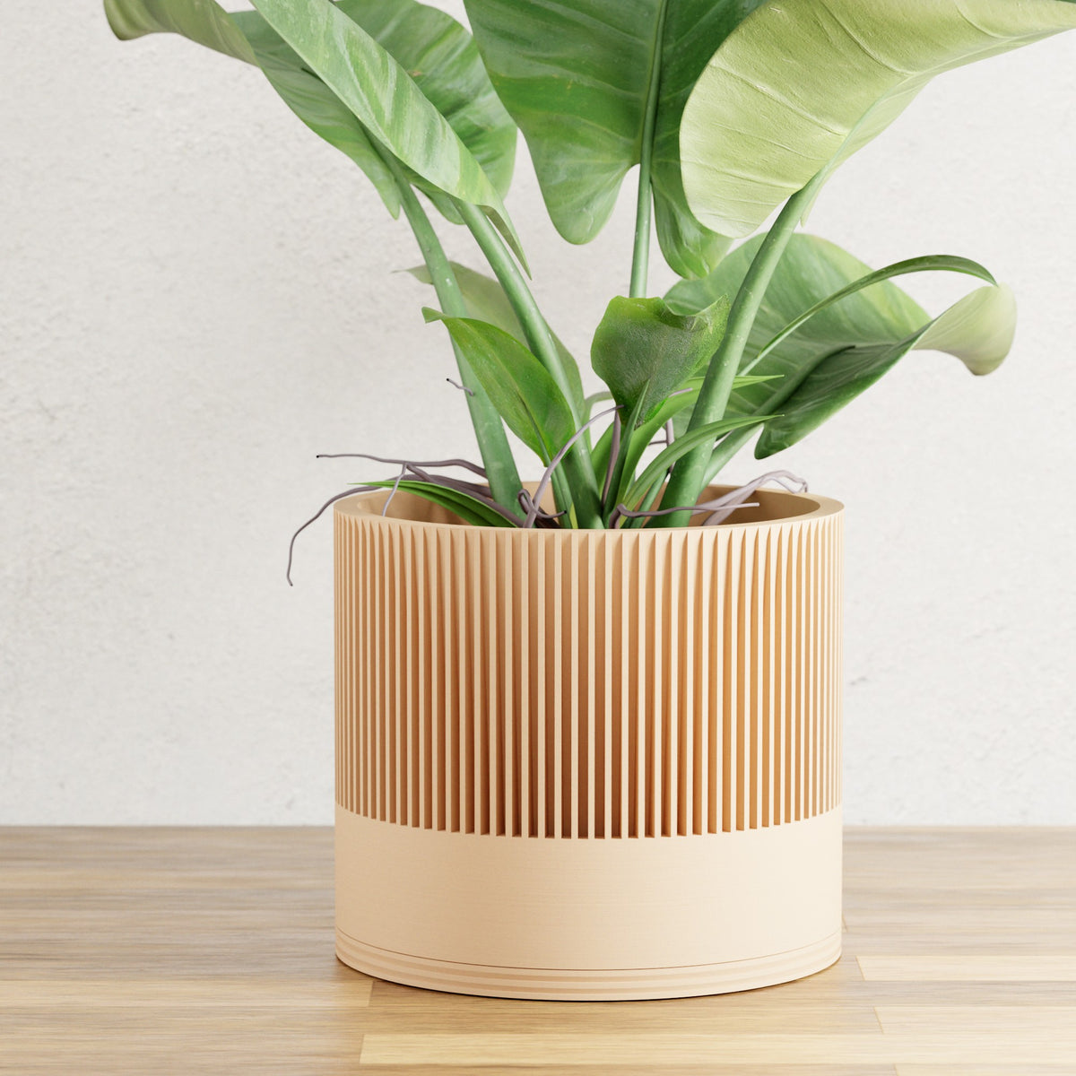 Sakura Planter