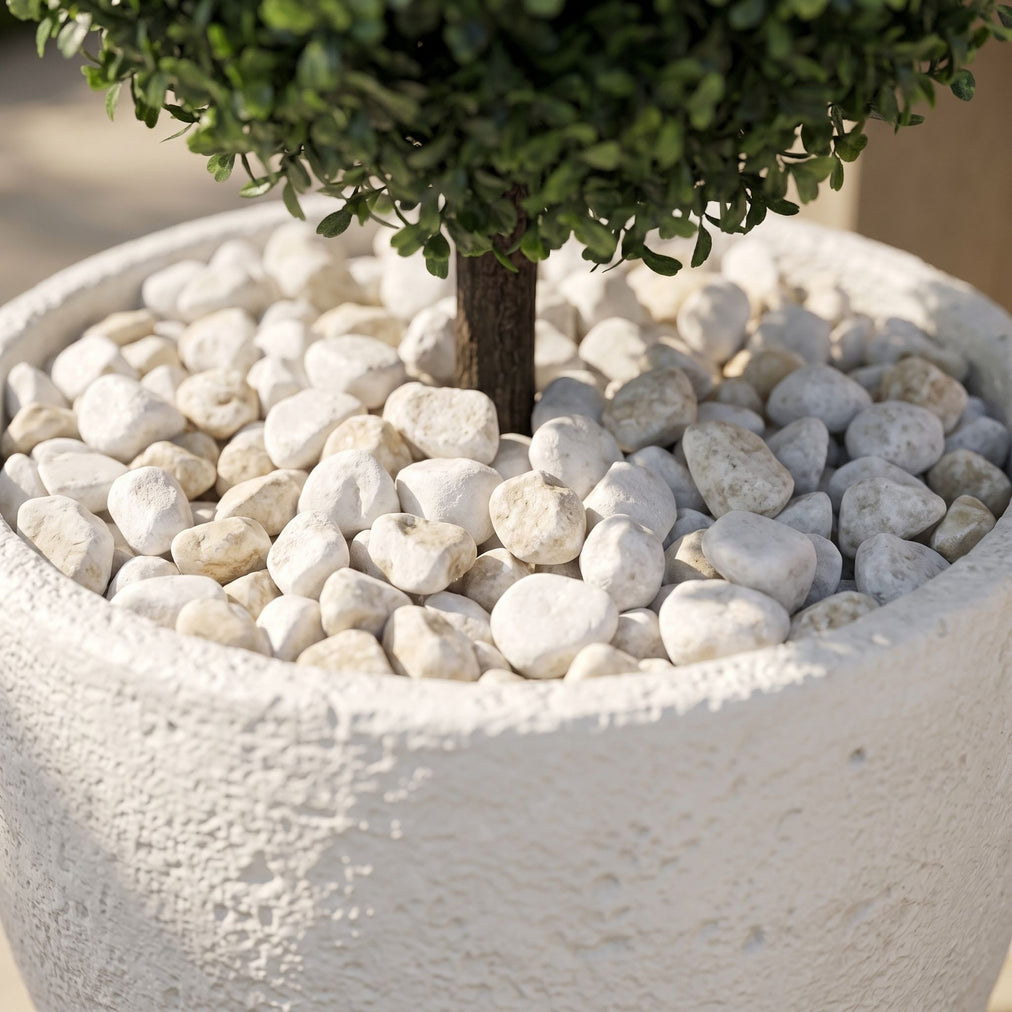 Already potted. Already polished.