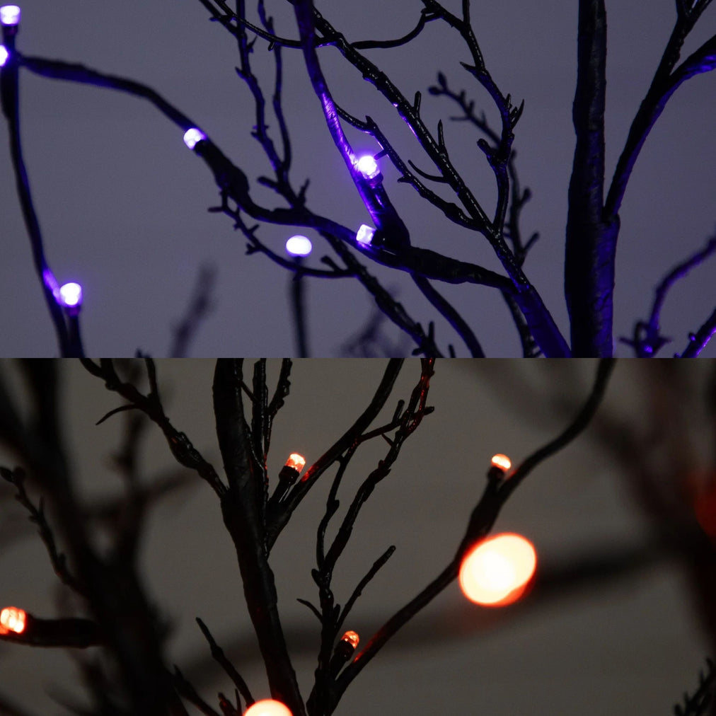 Orange & Purple LED Lights