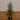 3' Pre-Lit Artificial Pine Christmas Tree with 60 LED Lights in Jute Wire Planter