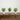 10" Artificial Baby Blue Eucalyptus in Decorative Planter - Set of 3