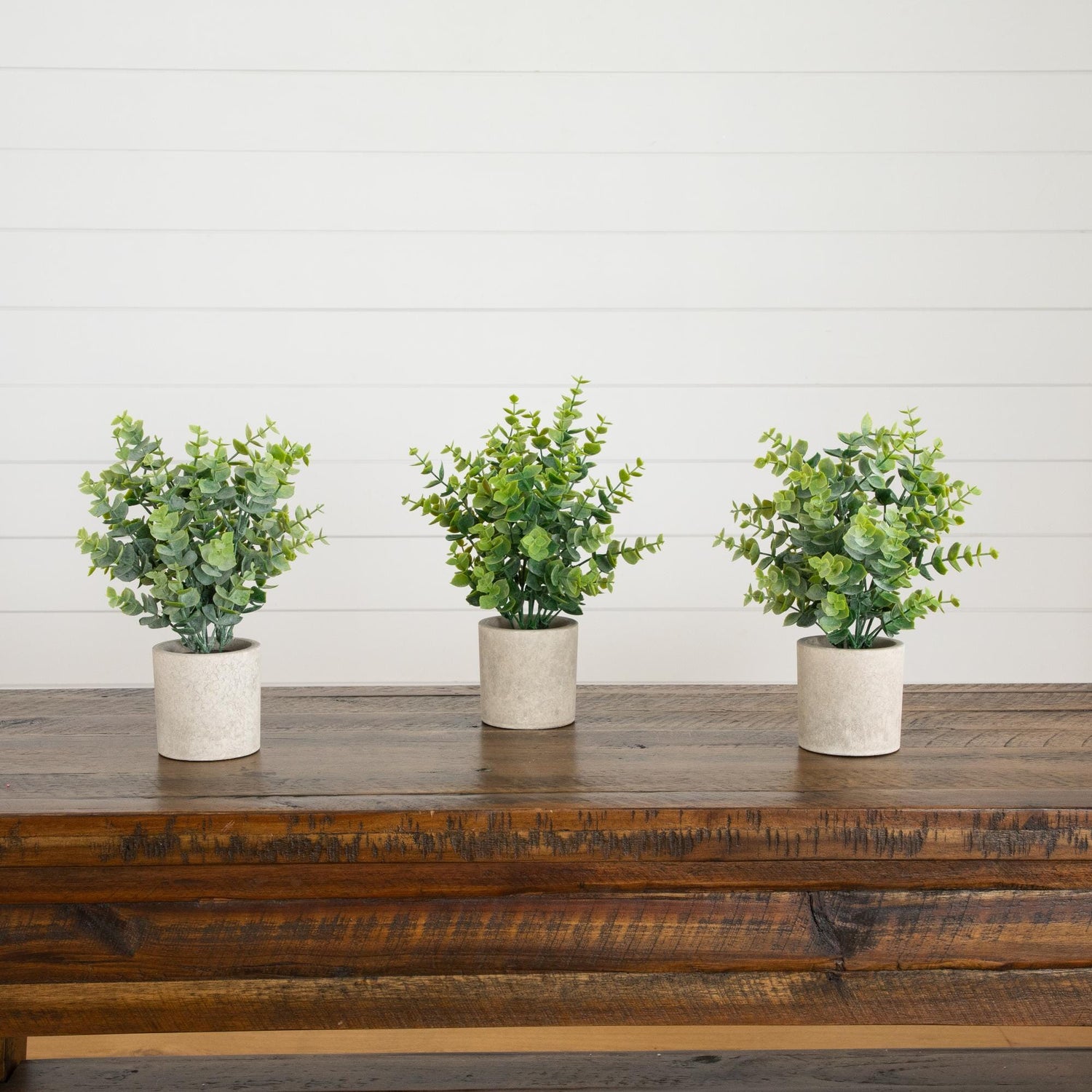 10" Artificial Baby Blue Eucalyptus in Decorative Planter - Set of 3