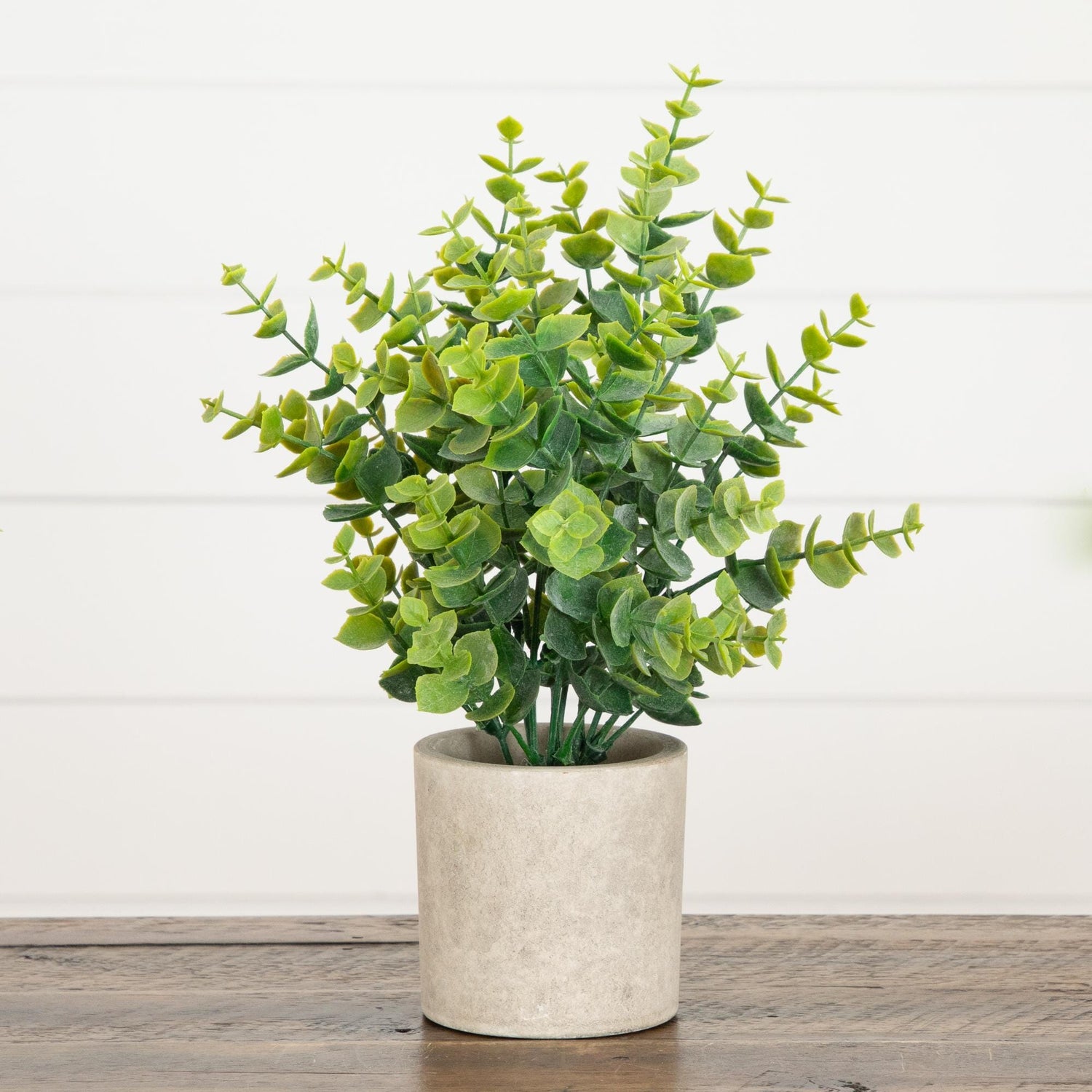 10" Artificial Baby Blue Eucalyptus in Decorative Planter - Set of 3