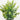 10" Artificial Baby Blue Eucalyptus in Decorative Planter - Set of 3