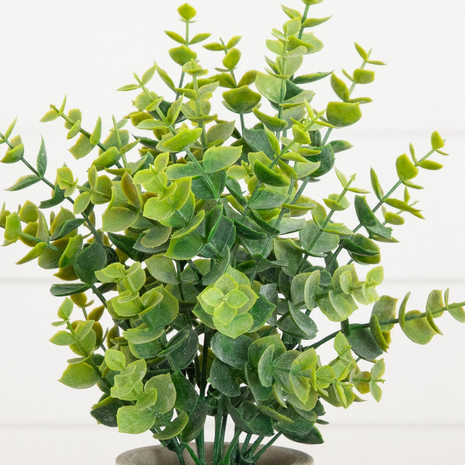 10" Artificial Baby Blue Eucalyptus in Decorative Planter - Set of 3