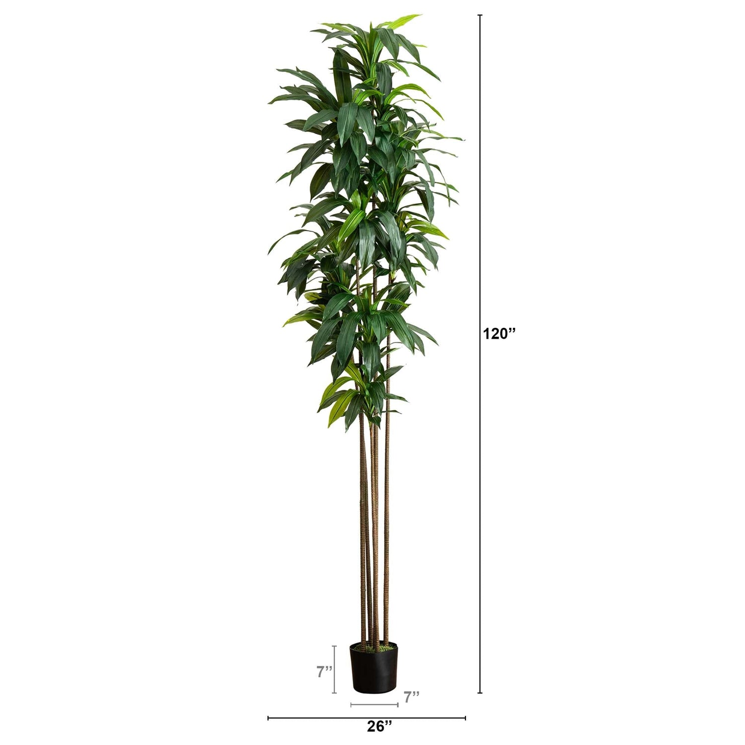 10’ Artificial Dracaena Tree with Real Touch Leaves