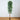 10’ Artificial Ficus Tree with Natural Trunk
