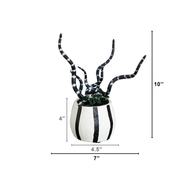 10” Artificial Halloween Midnight Stripe Snake Plant in Decorative Planter