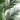 10’ Artificial Paradise Palm Tree