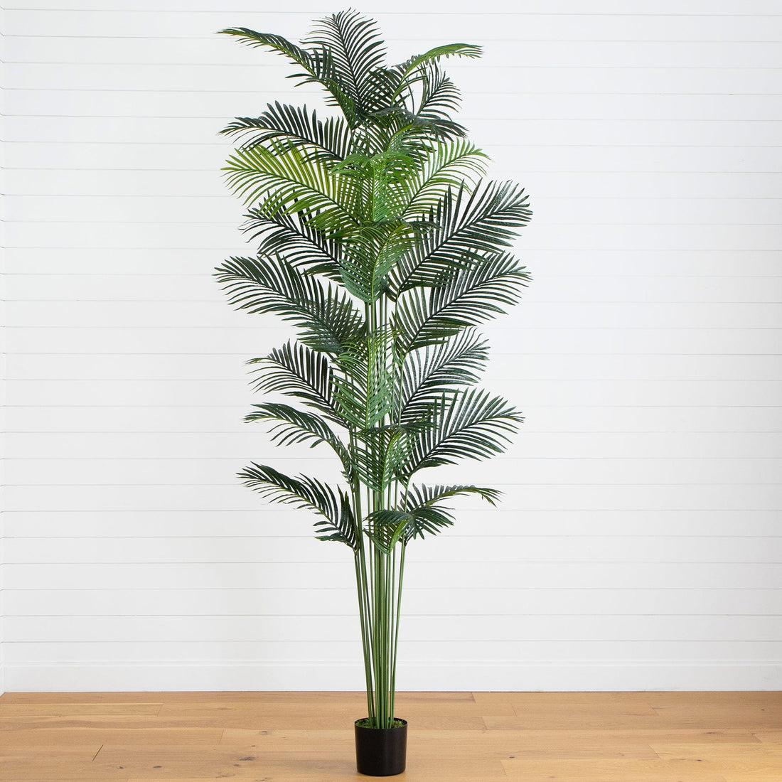 can palm plants take full sun 10' Artificial Paradise Palm Tree