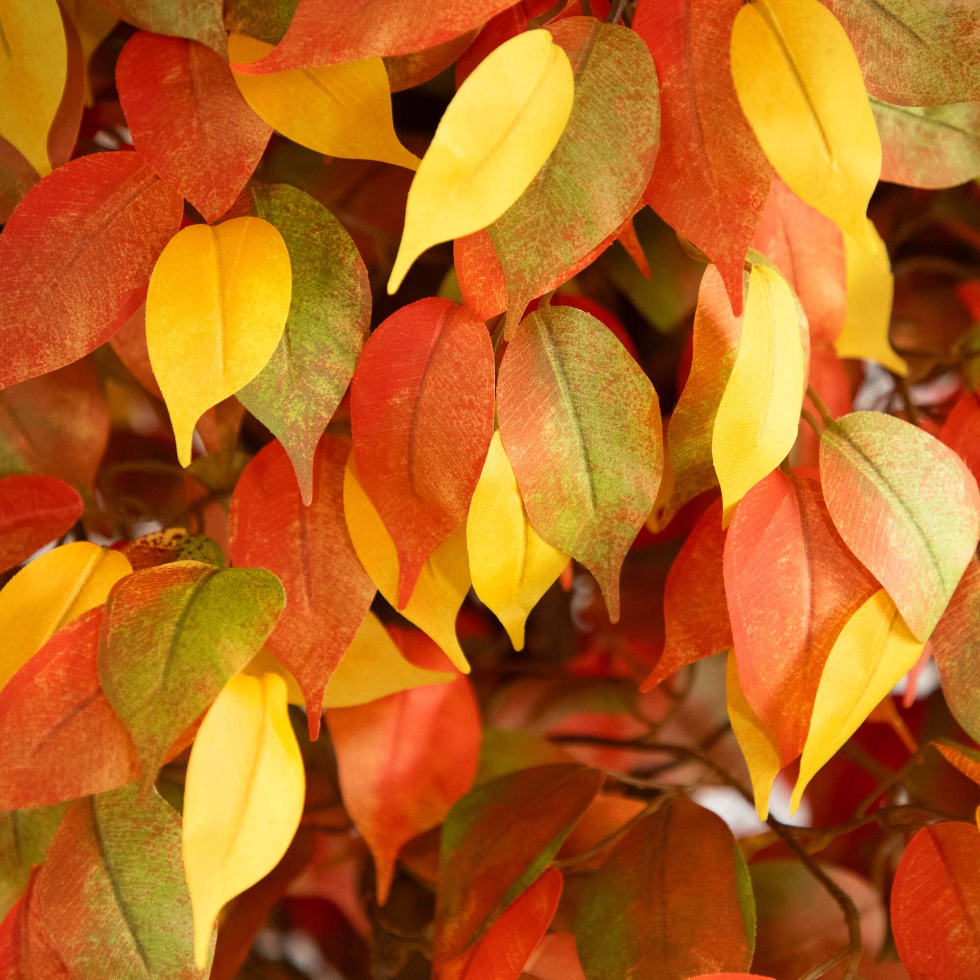 Fall Tree Ficus 10’ Autumn Ficus Artificial Fall Tree | Nearly Natural