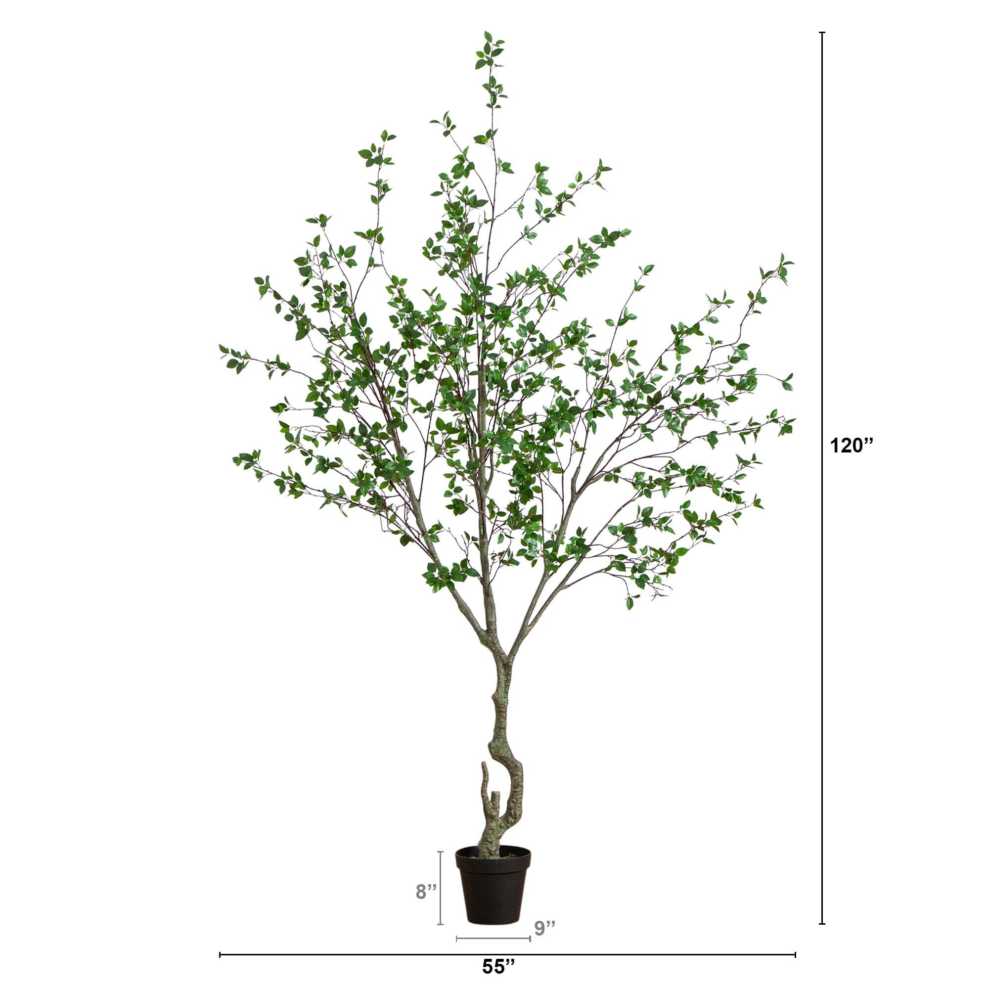 10' Minimalist Citrus Artificial Tree -This follows this citrus
