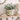 10” Tuscan Ceramic Green Scroll Planter w/ Handles