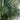 10' UV Resistant Artificial Areca Palm Tree (Indoor/Outdoor)
