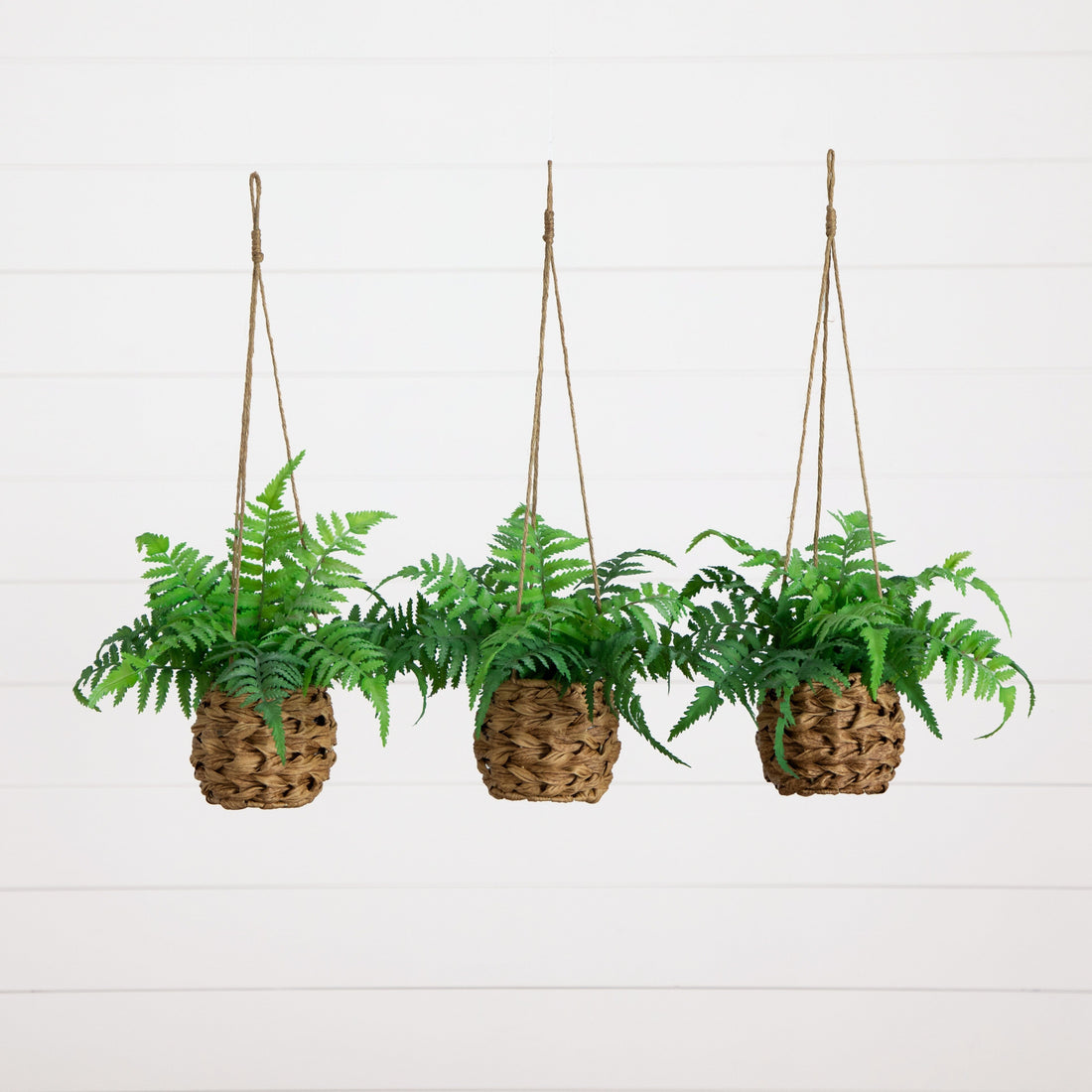 indoor hanging plant containers 10” UV Resistant Artificial Boston Fern in Hanging Wicker Basket (Indoor/Outdoor) - Set of 3