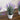 11” Artificial Lavender Plant in White Pot - Set of 3