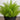 11” Artificial Mini Fern Plant