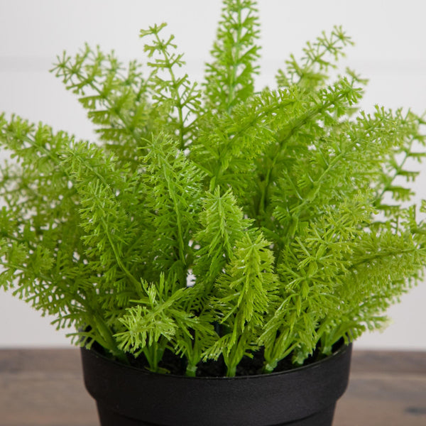 11” Artificial Mini Fern Plant