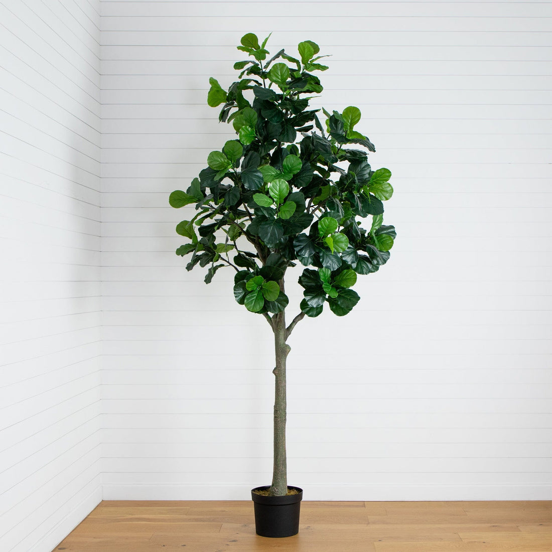 6ft faux fiddle leaf fig tree 12’ Artificial Fiddle Leaf Tree