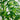 12’ Artificial Green Bamboo Tree