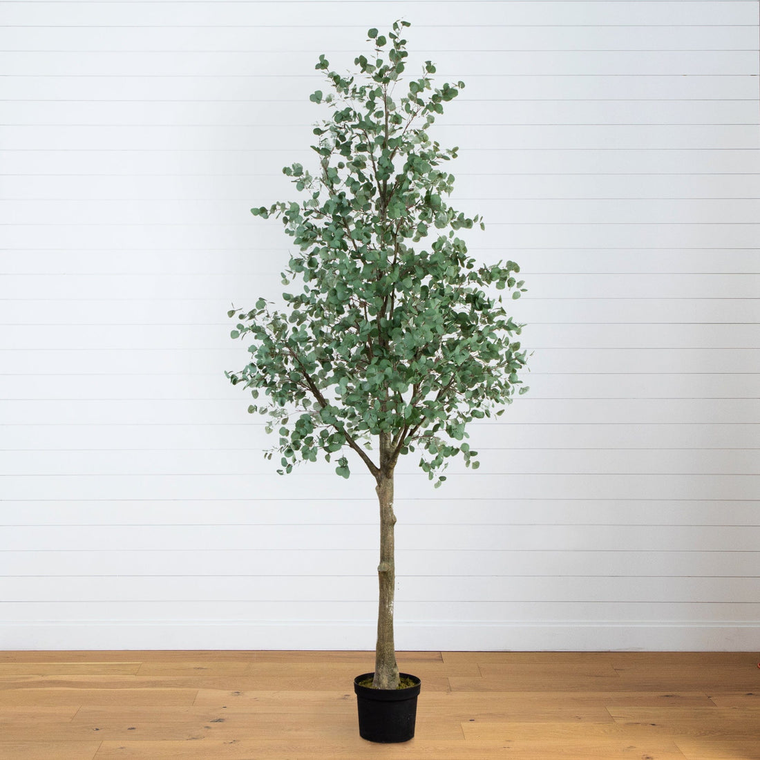 small eucalyptus plant indoor 13' Artificial Eucalyptus Tree