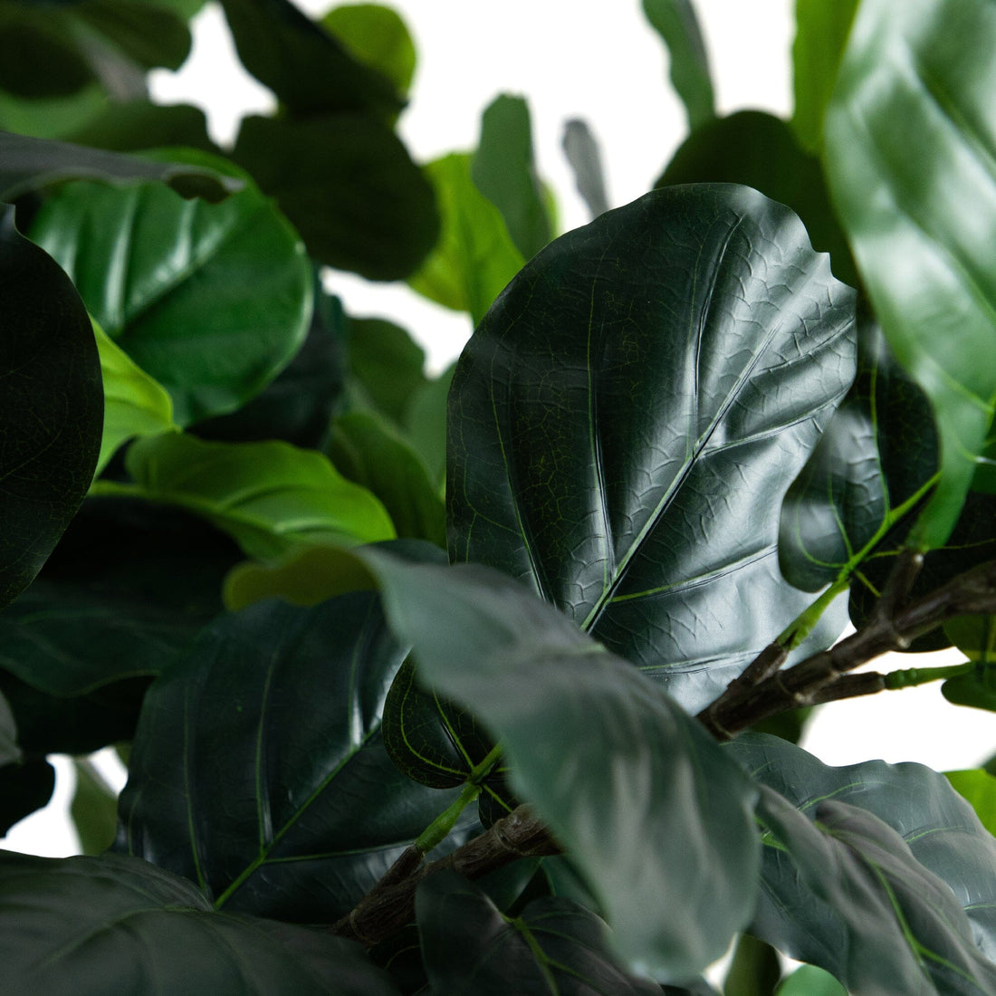 nearly natural fiddle leaf fig 13' Artificial Fiddle Leaf Fig Tree