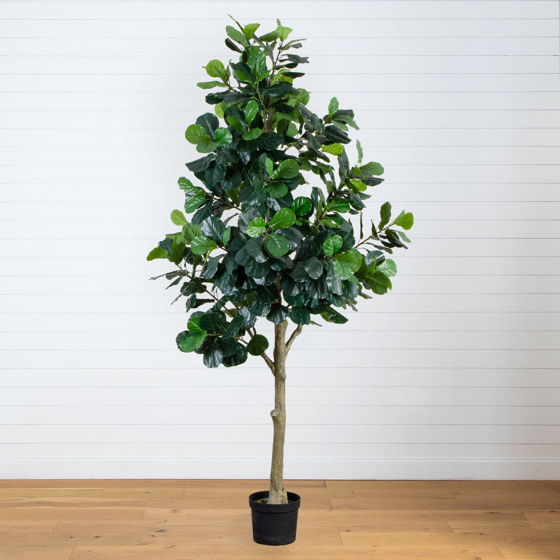 african fiddle leaf fig 13’ Artificial Fiddle Leaf Fig Tree
