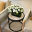 13” Geranium in Rectangular Planter UV Resistant (Indoor/Outdoor)
