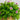 13” UV Resistant Artificial Lily and Eucalyptus Woven Hanging Basket (Indoor/Outdoor)