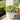 13in. UV Resistant Artificial Pansy Bush (Indoor/Outdoor) - Set of 12