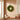 14” Preserved Boxwood Wreath