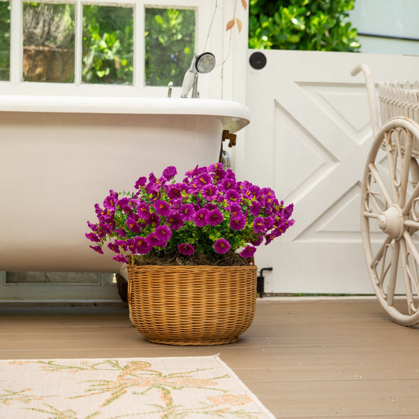 14" UV Resistant Artificial Morning Glory Bush (Indoor/Outdoor) - Set of 12