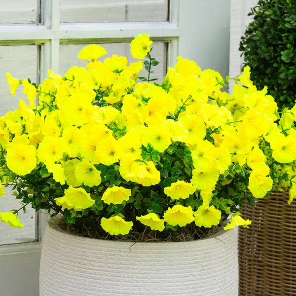 14" UV Resistant Artificial Morning Glory Bush (Indoor/Outdoor) - Set of 12