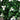 15" UV Resistant Artificial Boxwood and Gardenia Topiary Plant (Indoor/Outdoor)