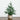 1.5' Pre-Lit Artificial Mini Christmas Tree in Basket with 20 Warm White LED Lights