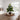 18” Artificial Real Touch Spruce Pine Christmas Tree