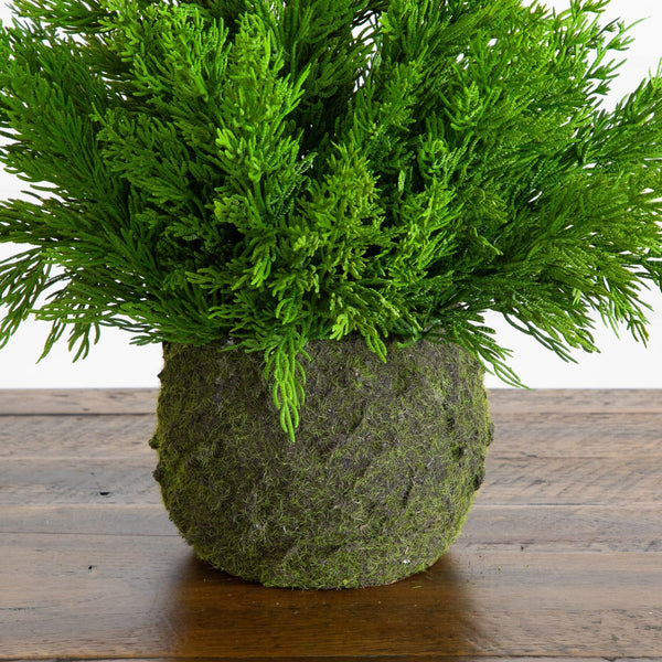 18” Artificial Real Touch Winter Cypress Bush in Moss Planter