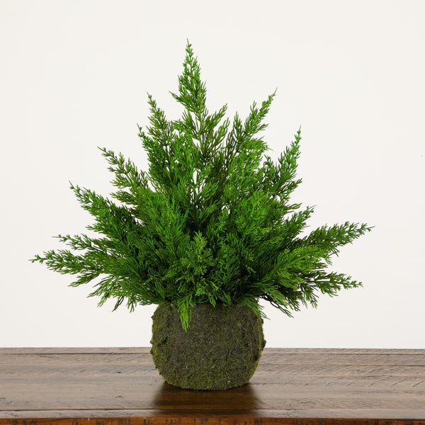 18” Artificial Real Touch Winter Cypress Bush in Moss Planter