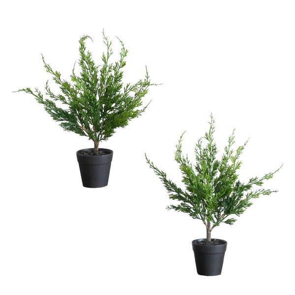 18” Artificial Real Touch Winter Mini Cypress Tree - Set of 2