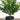 18” Artificial Real Touch Winter Mini Cypress Tree - Set of 2