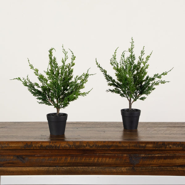 18” Artificial Real Touch Winter Mini Cypress Tree - Set of 2